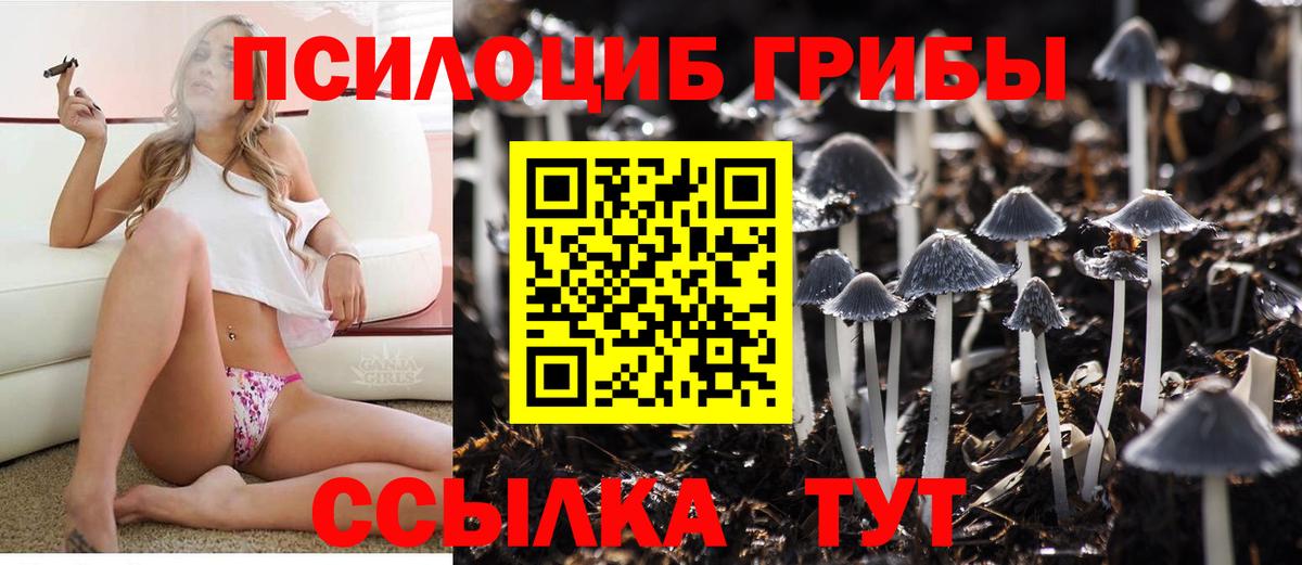 Псилоцибиновые грибы Psilocybe  Вход с VPN  Новый Уренгой  Псилоцибиновые грибы Psilocybe 