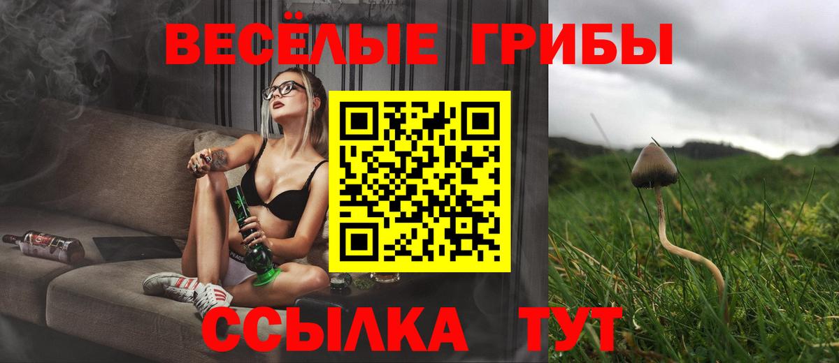 Галлюциногенные грибы Cubensis Новый Уренгой